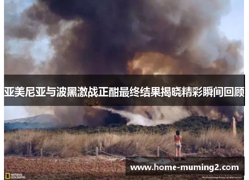 亚美尼亚与波黑激战正酣最终结果揭晓精彩瞬间回顾