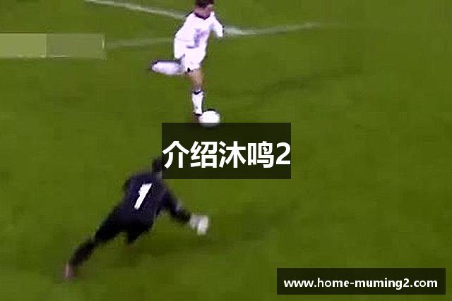 介绍沐鸣2